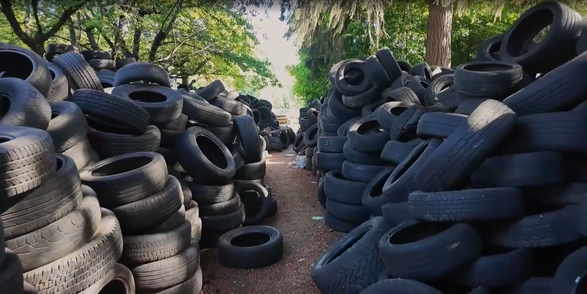 Illegally Dumped Tires in Portland, Oregon
