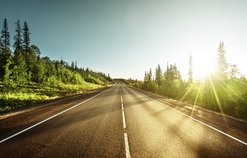 An open road surrounded by trees