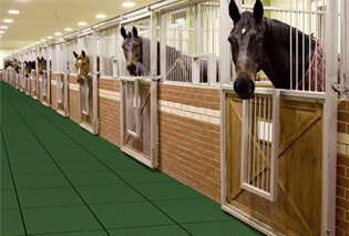 Horses in stables with Equitile rubber pavers