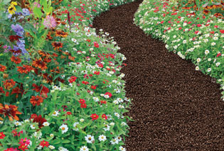 A trail with bonded rubber mulch.