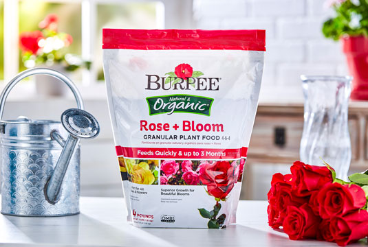 A bag of Burpee Organic Rose Bloom