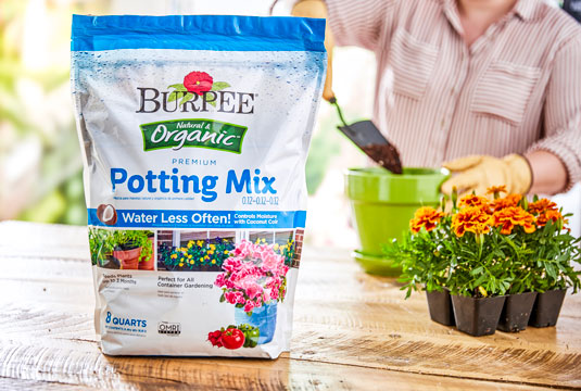 A bag of Burpee Organic Potting Mix