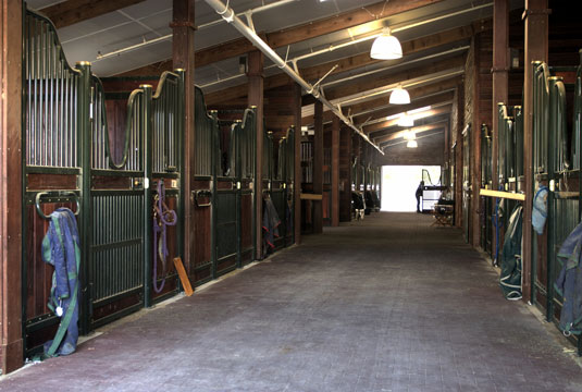 A row of stables with EquiTile flooring