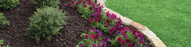 GroundSmart Rubber Mulch Nuggets in a flower bed.