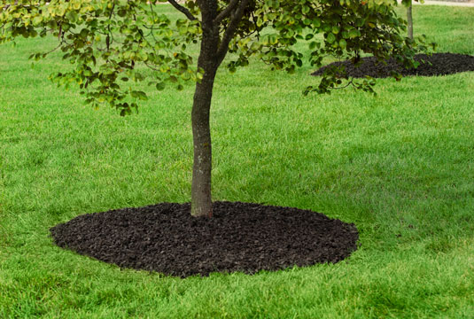 GroundSmart Rubber Mulch Nuggets around a tree