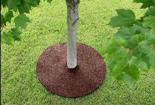 A Rubberfific Tree Ring around the base of a tree
