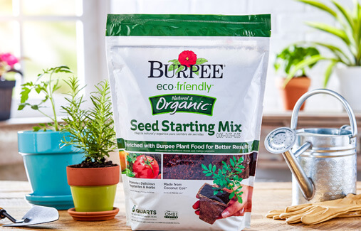 A bag of Burpee Seed Starting Mix