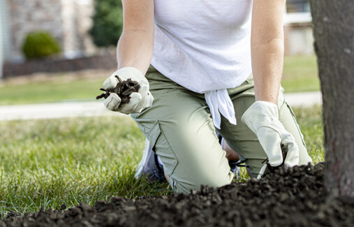 A gardener laying out rubber mulch