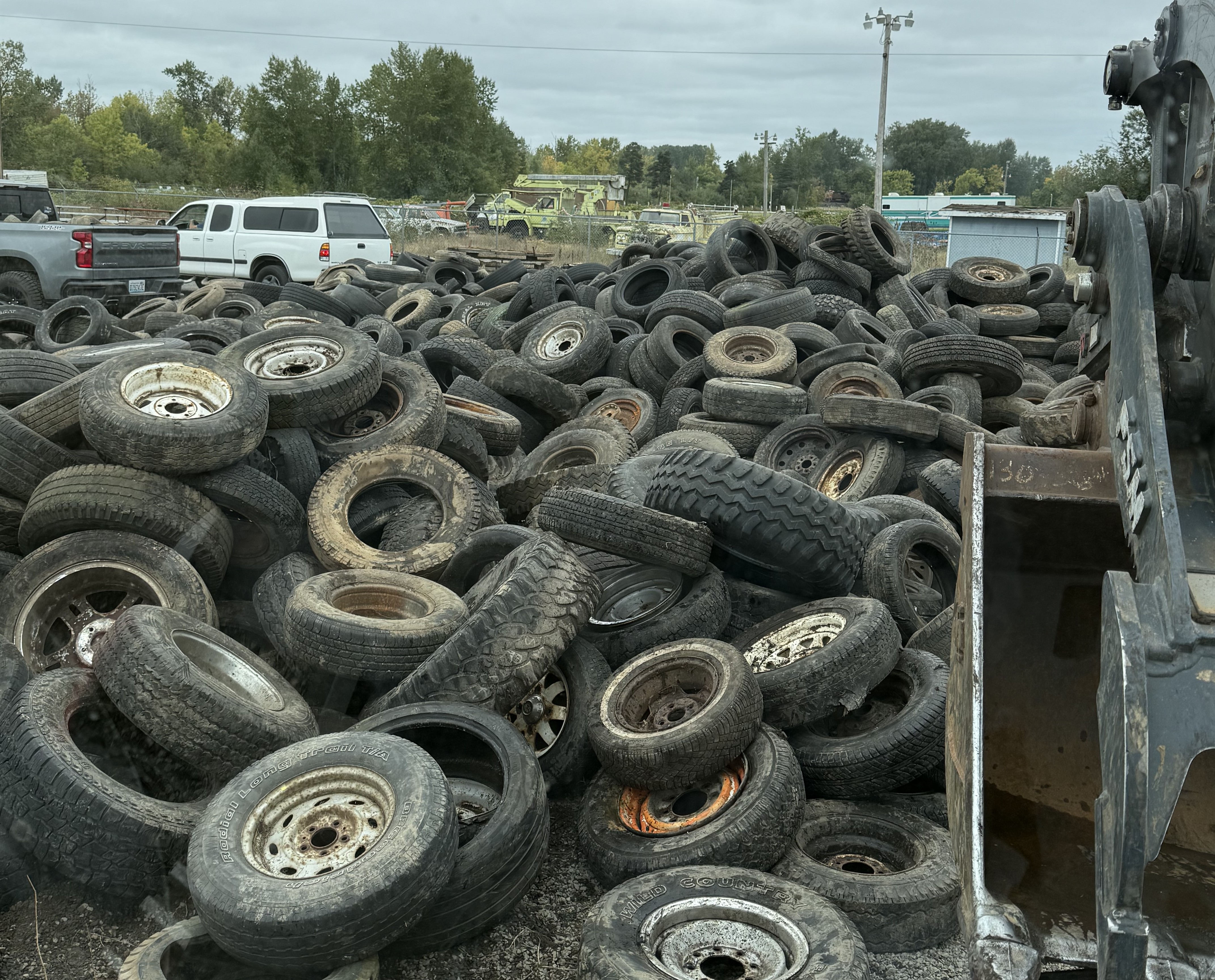 Some of the tires collected at the Amnesty events in Lewis County in Washington