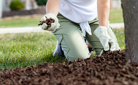 A gardener laying out rubber mulch