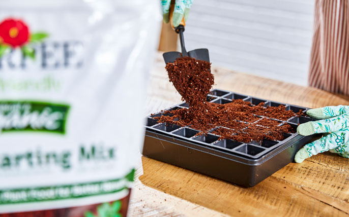 A gardener filling a tray with soil