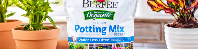 A bag of Burpee's natural and organic potting mix